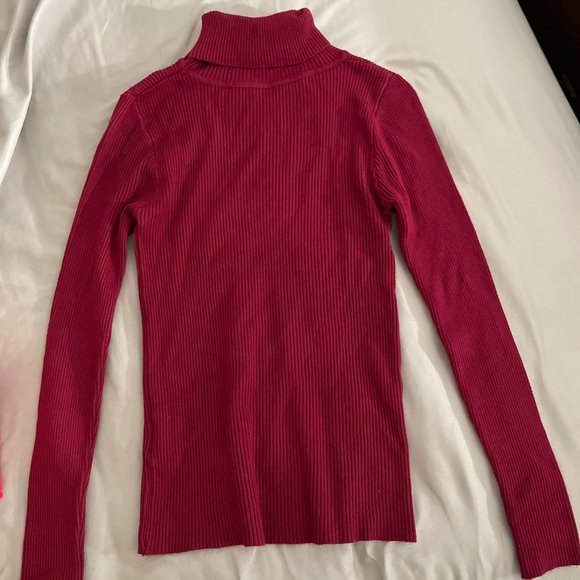 Ribbed Fitted Turtleneck Sweater - Picture 1 of 1